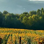 Poggelleri La Cartolina Su E Le Colline Toscane בית נופש פופי