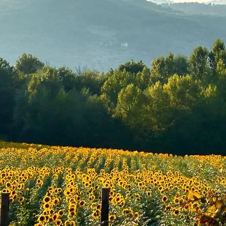 Poggelleri La Cartolina Su E Le Colline Toscane Prázdninový dům Poppi